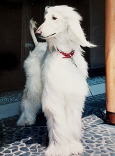 羊毛フェルト人形 ビフォー