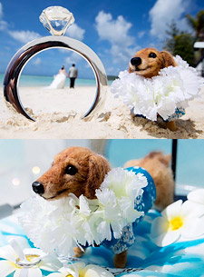 羊毛フェルト人形 アフター