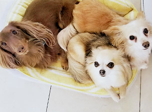 似顔絵 ビフォー