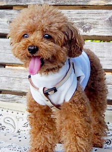 似顔絵 ビフォー