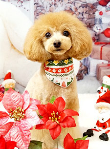 似顔絵 ビフォー