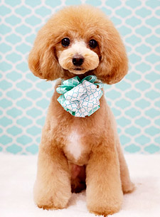 似顔絵 ビフォー