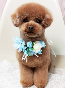 似顔絵 ビフォー