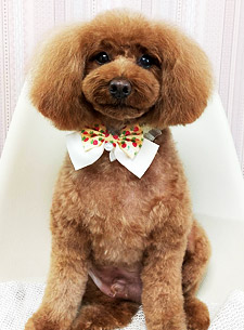 似顔絵 ビフォー