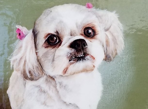 羊毛フェルトレリーフ ビフォー